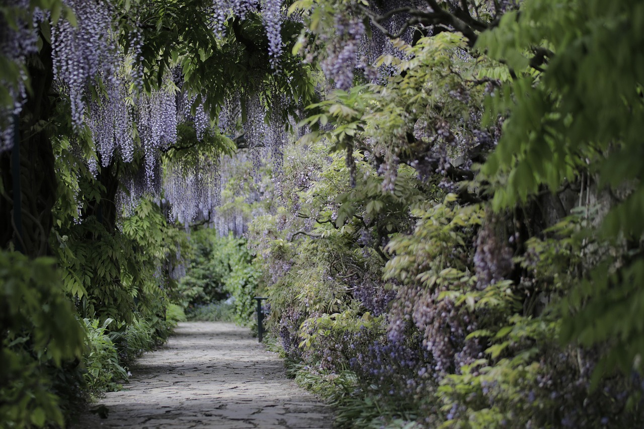 How to Grow a Vertical Garden for More Space